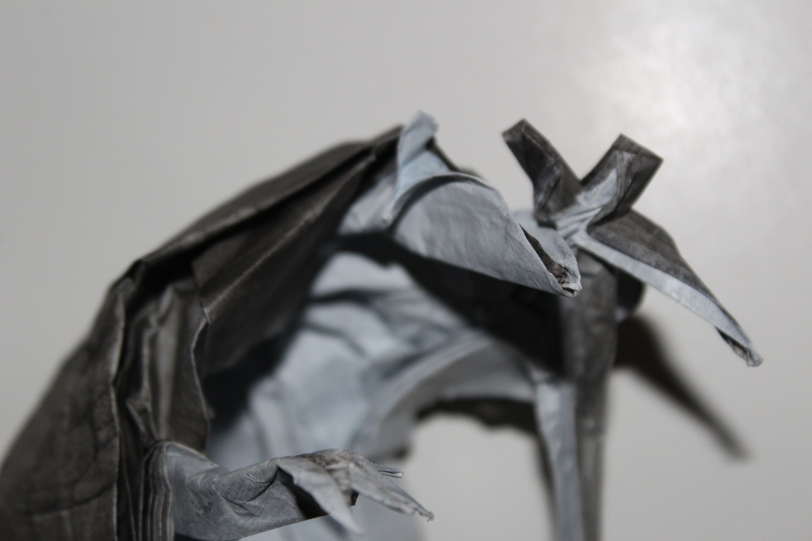 WKO_018 - DEATH OF RATS (106)