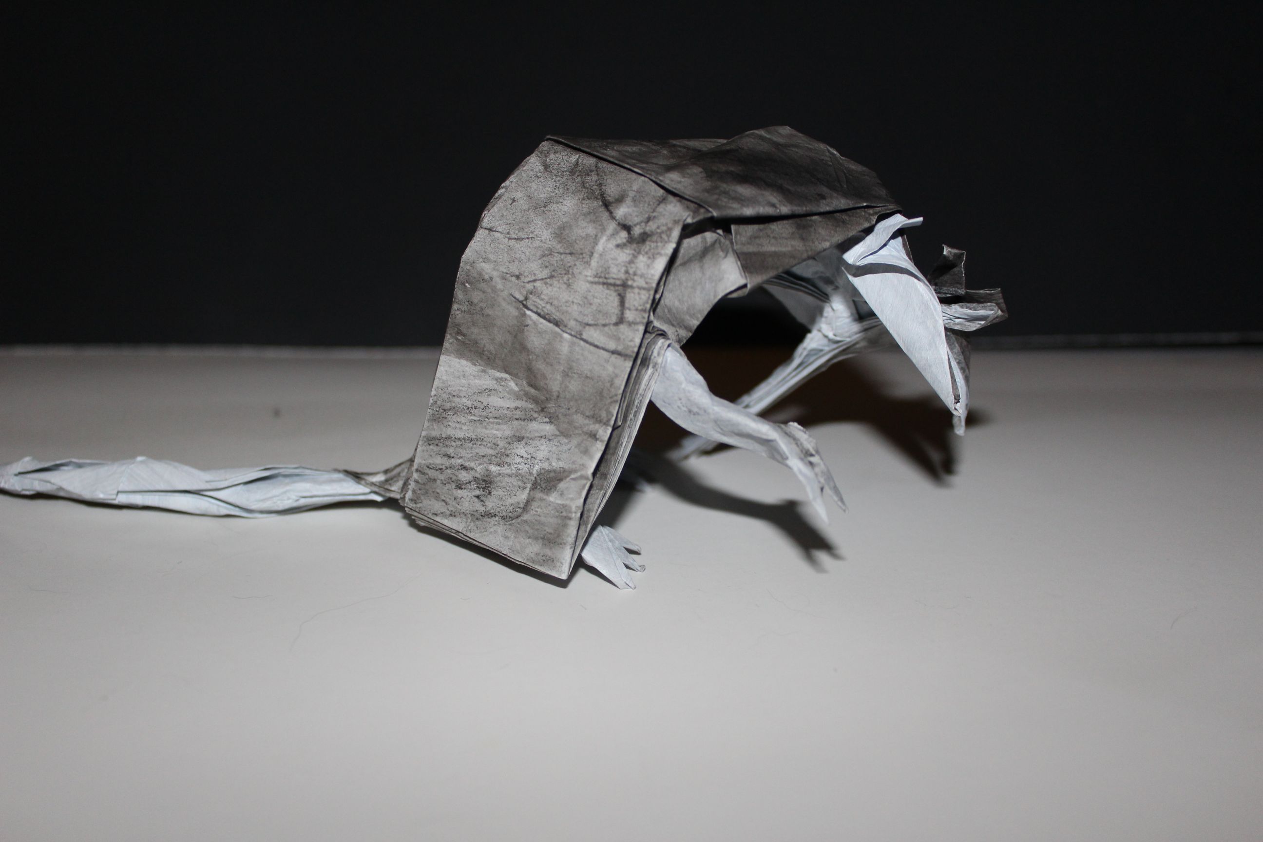 WKO_018 - DEATH OF RATS (109)