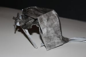 WKO_018 - DEATH OF RATS (112)