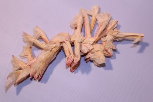 OTMCP_069 - LEAFY SEA DRAGON - KAKAMI (101)