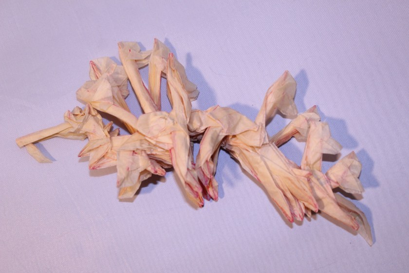 OTMCP_069 - LEAFY SEA DRAGON - KAKAMI (102)