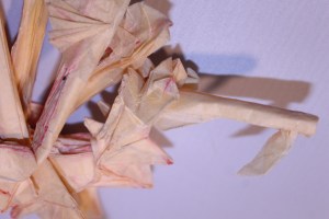 OTMCP_069 - LEAFY SEA DRAGON - KAKAMI (103)