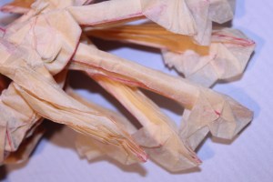 OTMCP_069 - LEAFY SEA DRAGON - KAKAMI (105)