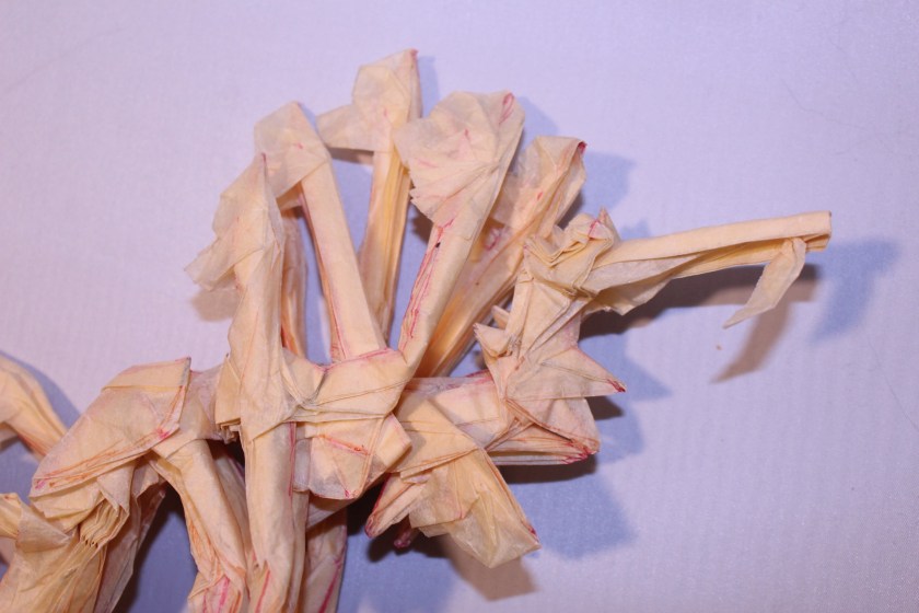 OTMCP_069 - LEAFY SEA DRAGON - KAKAMI (106)