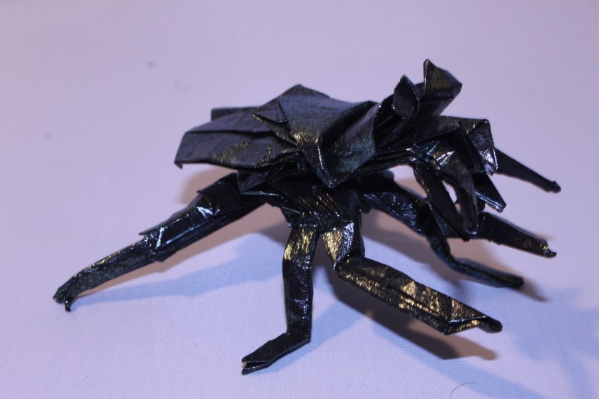 OTMCP_071 - TIGER BEETLE - KANAZAWA (103)