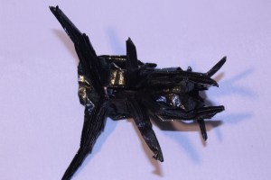 OTMCP_071 - TIGER BEETLE - KANAZAWA (104)