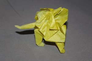 WKO_030 - LION (101)