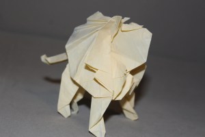 WKO_030 - LION (106)