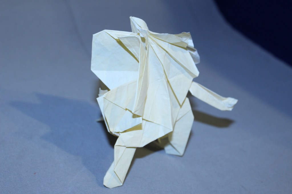 WKO_030 - LION (109)