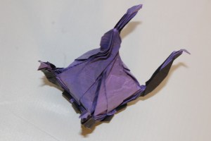 WKO_040 - CHANDERA (112)