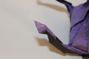 WKO_040 - CHANDERA (113)