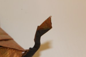 WKO_040 - CHANDERA (115)