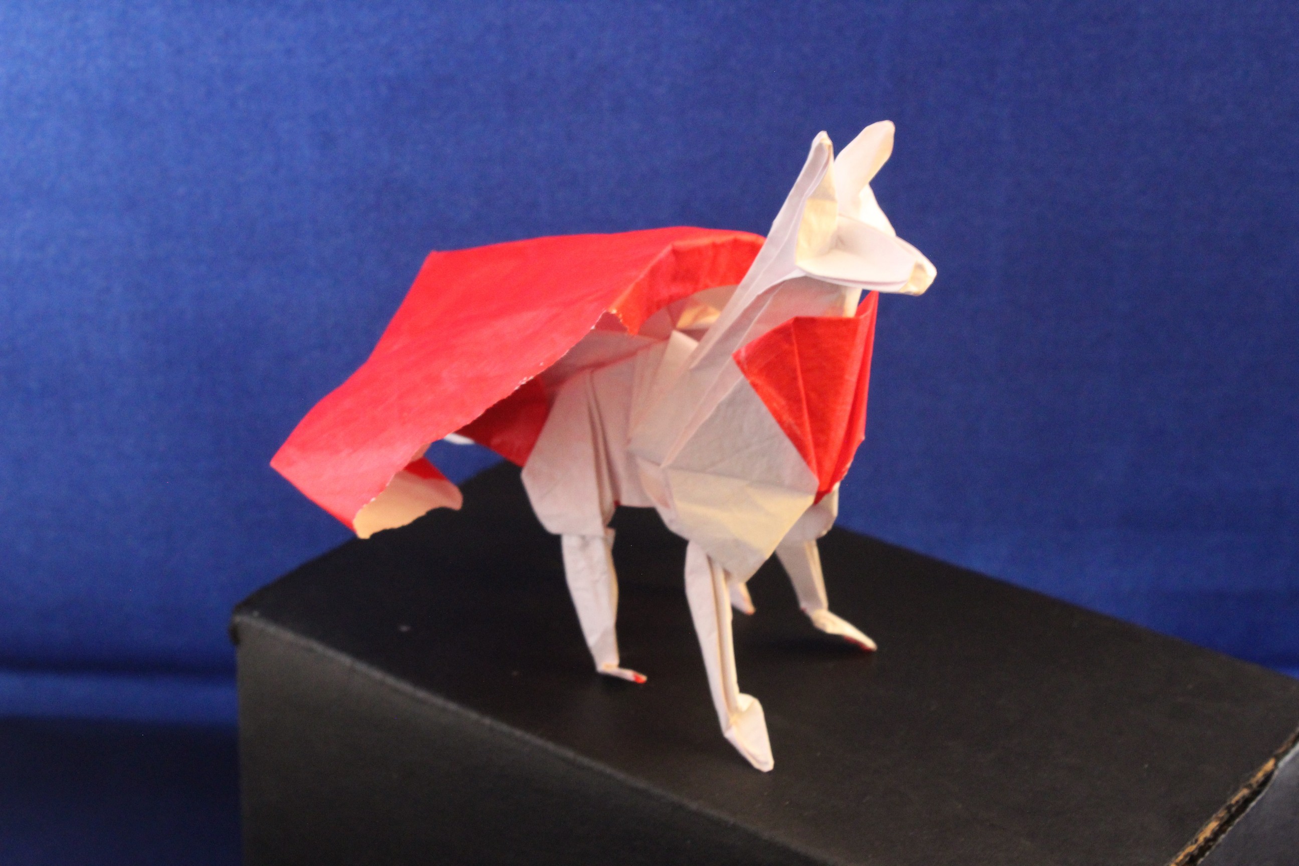 WKO_042 - KRYPTO (102)