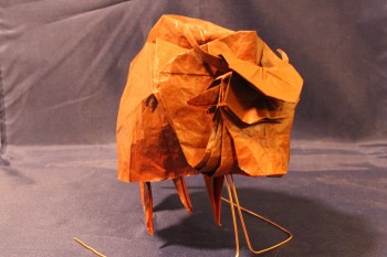 WKO_053 - BUFFALAX (103)