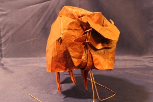 WKO_053 - BUFFALAX (103)