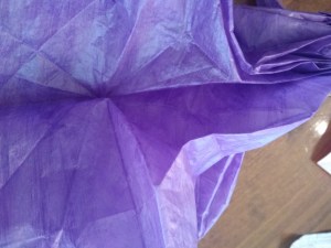 OTMCP_069 - LEAFY SEA DRAGON - KAKAMI (205)