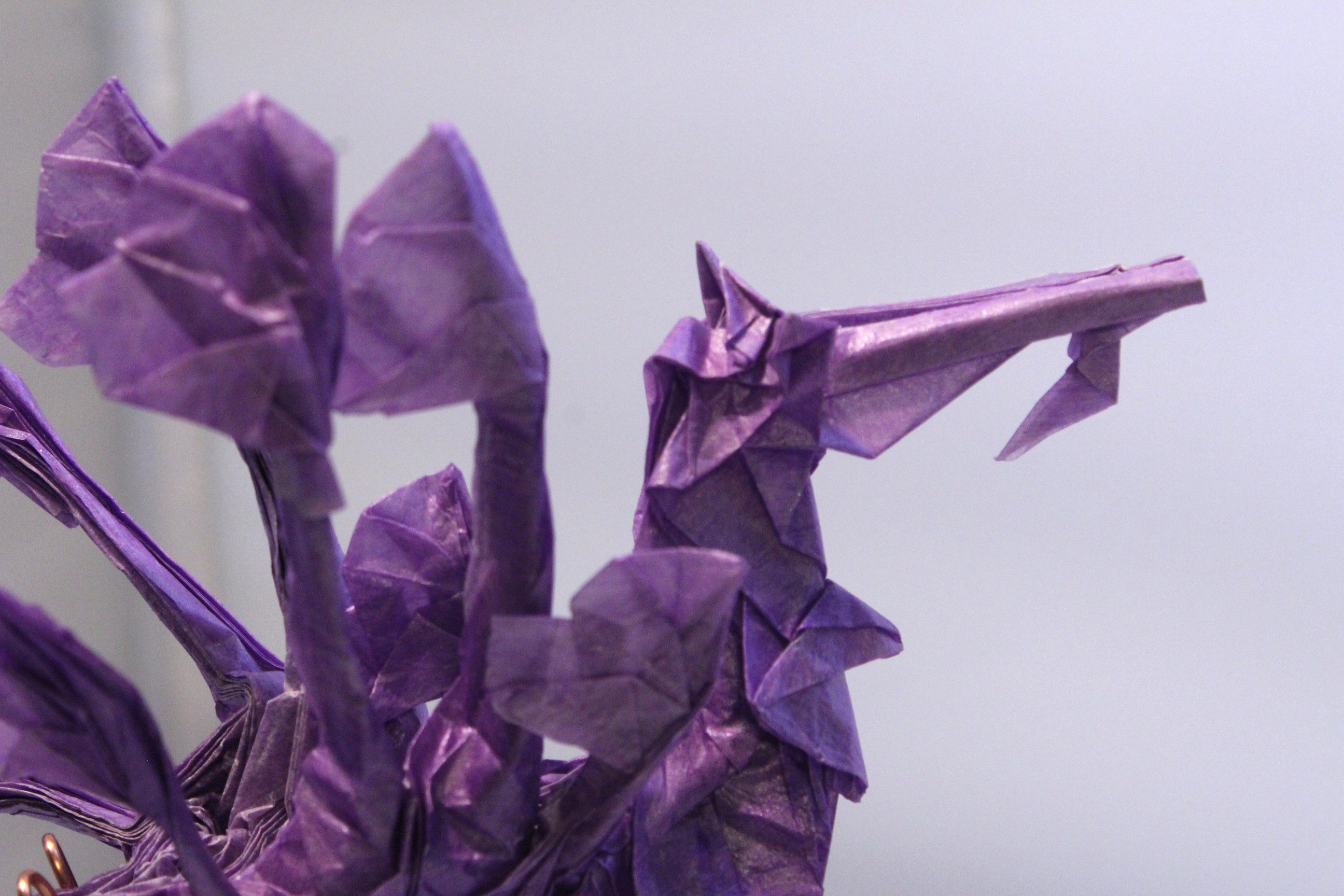 OTMCP_069 - LEAFY SEA DRAGON - KAKAMI (227)