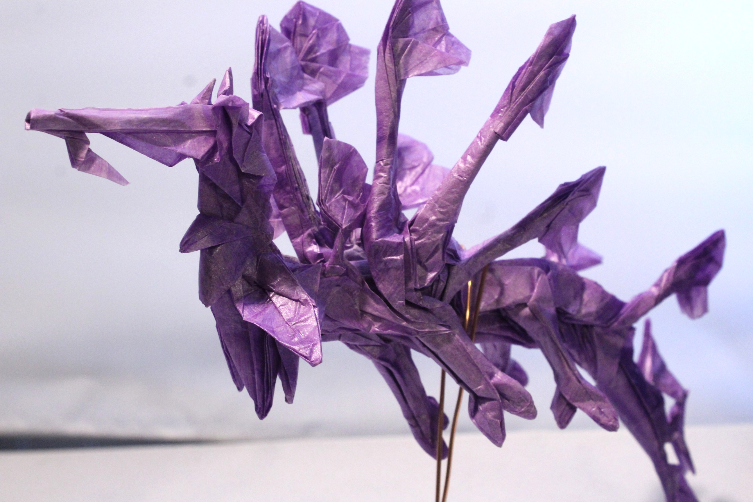 OTMCP_069 - LEAFY SEA DRAGON - KAKAMI (229)